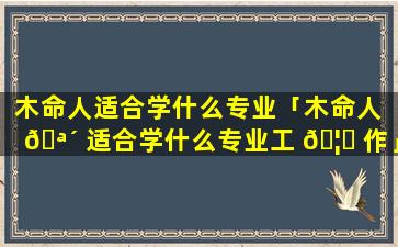 木命人适合学什么专业「木命人 🪴 适合学什么专业工 🦅 作」